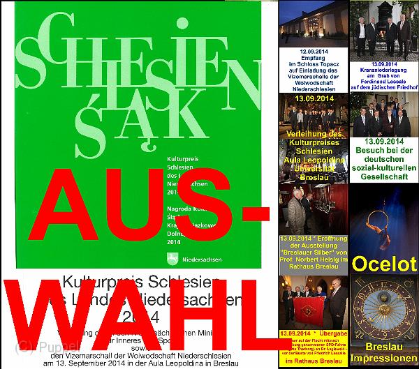A-Kulturpreis Schlesien-2014-AUSWAHL_.jpg